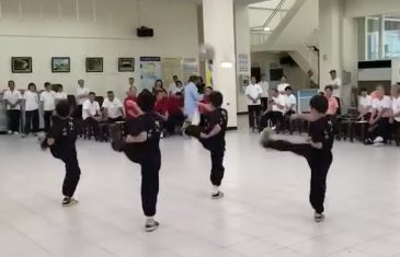 少林拳12路彈腿之第1～8路