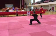 崑崙基礎連環拳