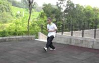 太極劍1-3式